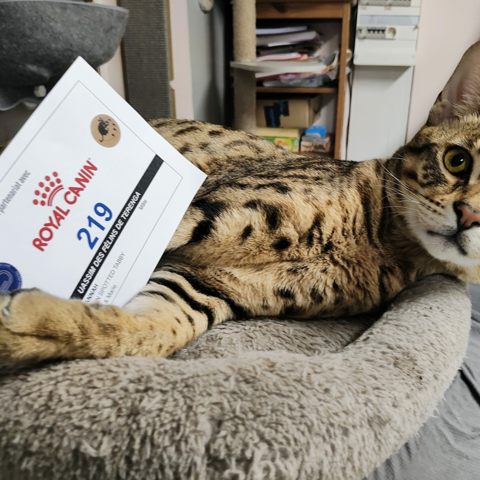 IMG_20240929_211706224_AE