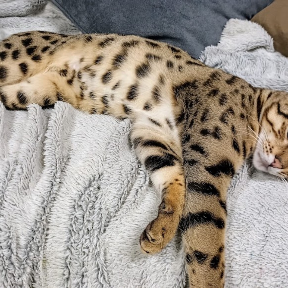 IMG_20241128_213627~2