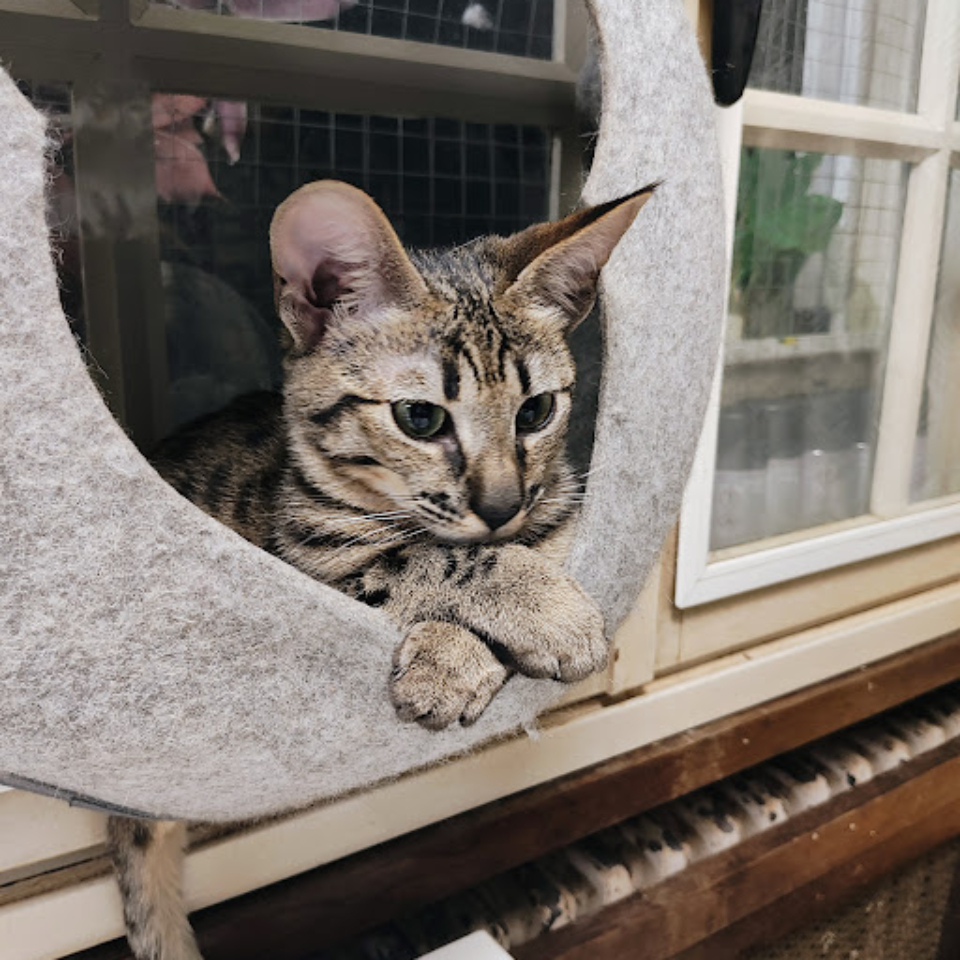 IMG_20250130_223843011_AE