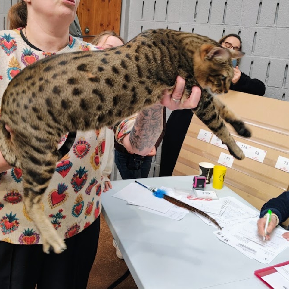 original_4668d14f-f3e8-4a98-b996-3fa2591a4d02_IMG_20250112_130732909_AE