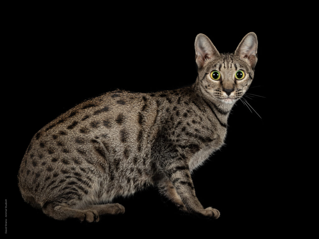 12012025-732A0354-Lefevre-Modifier