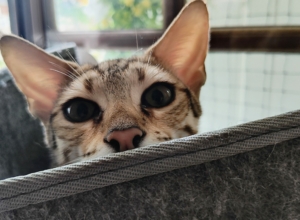 IMG_20250720_165106922_HDR_AE