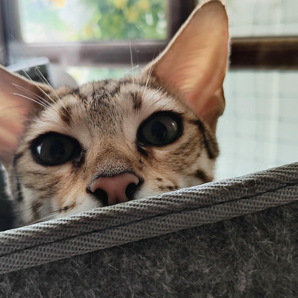 IMG_20250720_165106922_HDR_AE