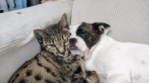 IMG_20250817_200923068_AE