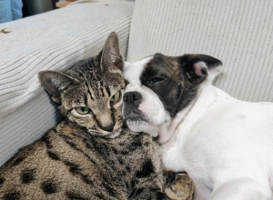 IMG_20250817_200923068_AE