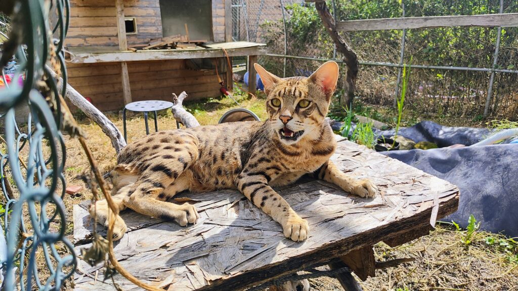 IMG_20250830_145434644_HDR_AE