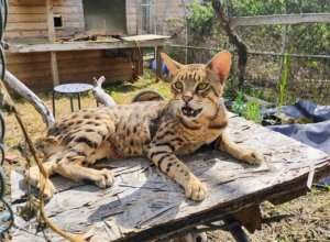 IMG_20250830_145434644_HDR_AE