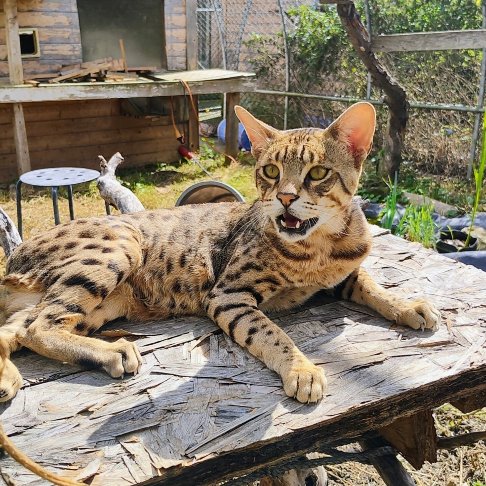 IMG_20250830_145434644_HDR_AE