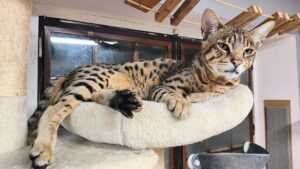 IMG_20251005_212344842_HDR_AE