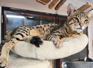 IMG_20251005_212344842_HDR_AE