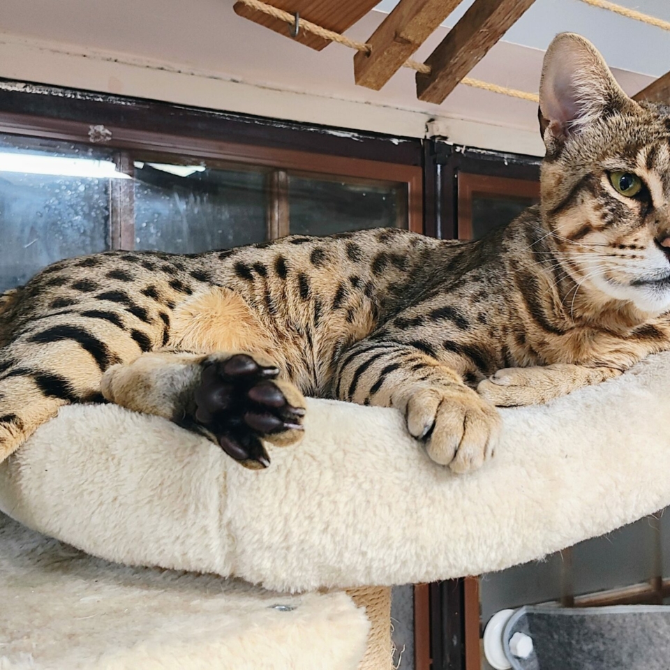 IMG_20251005_212344842_HDR_AE