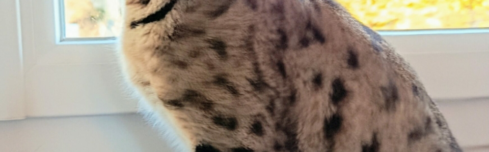 IMG_20251117_161106~2