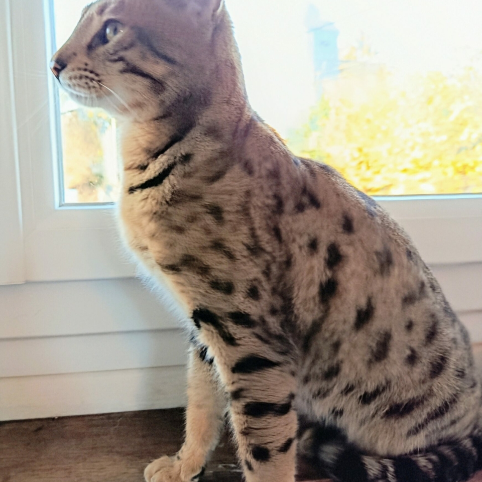 IMG_20251117_161106~2