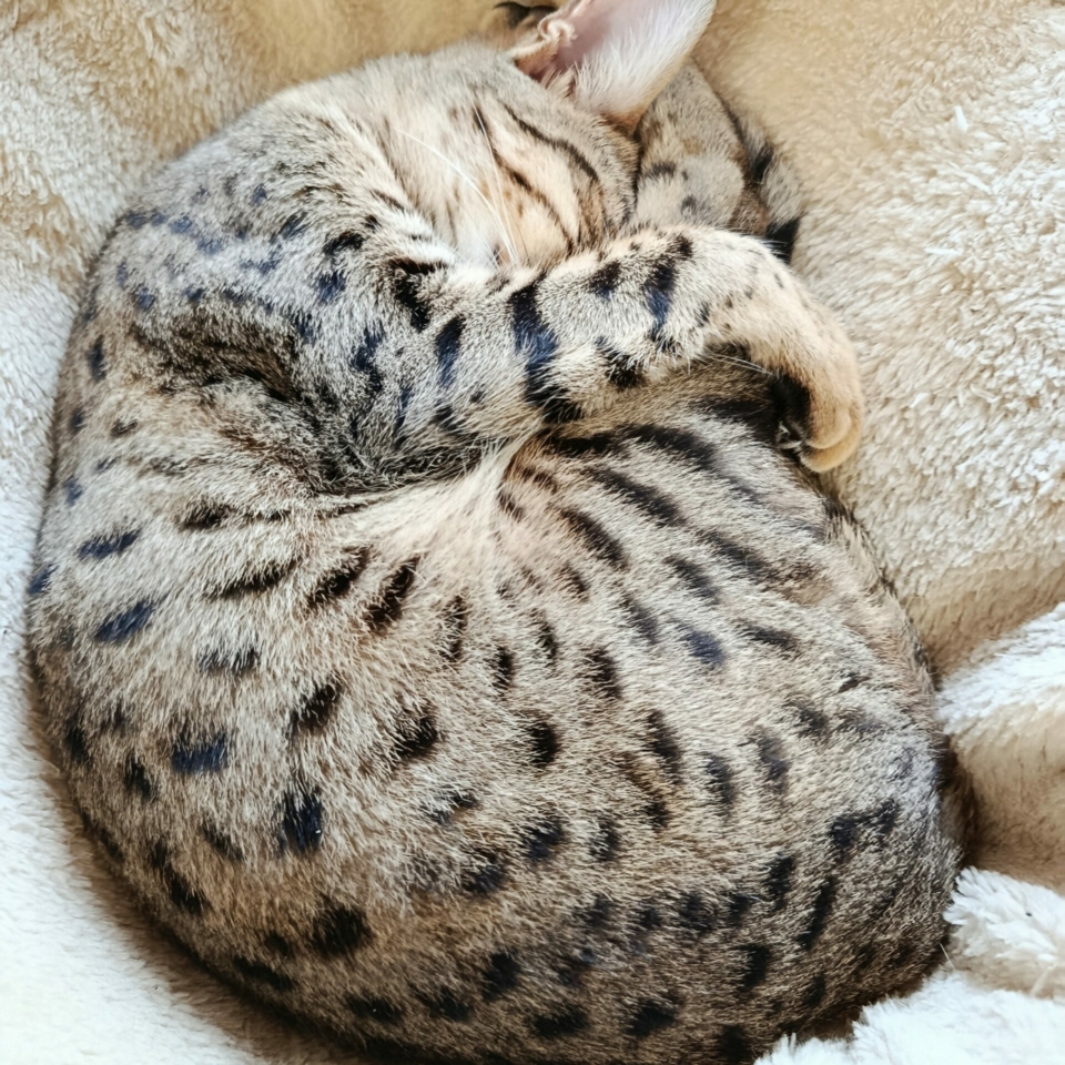 IMG_20251119_144356~2