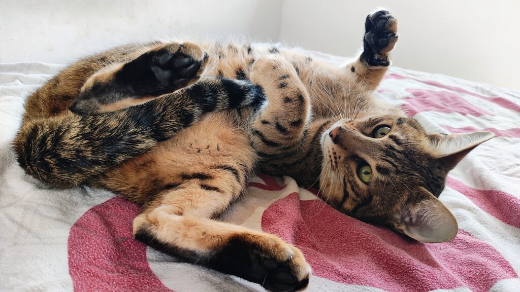 IMG_20251122_134820285_AE