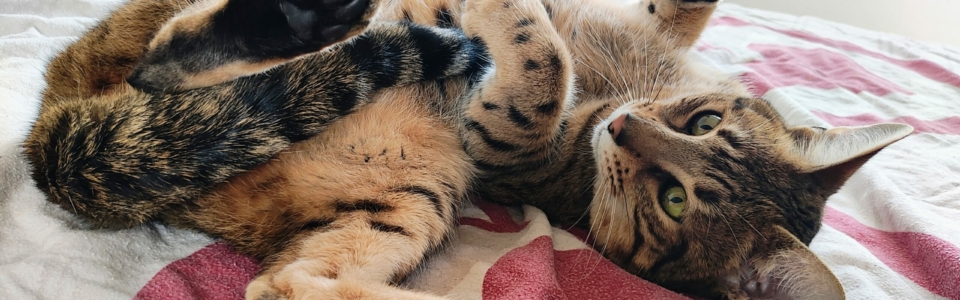 IMG_20251122_134820285_AE