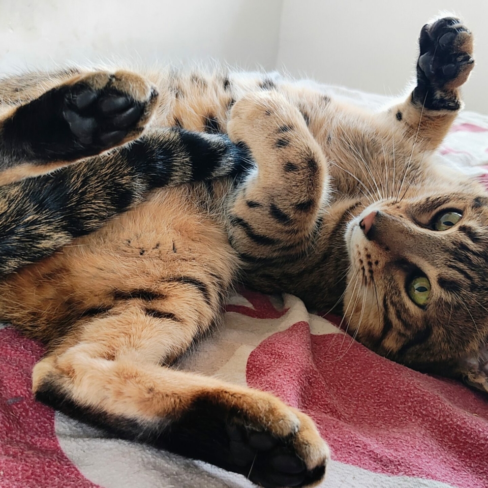 IMG_20251122_134820285_AE