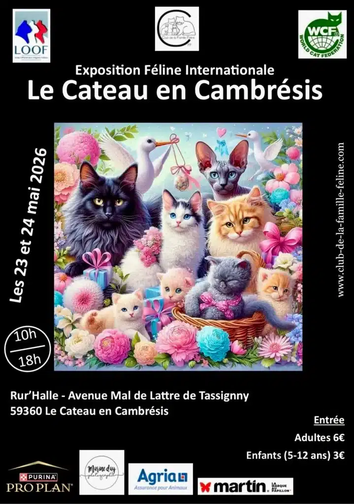 affiche expo Le Cateau 2026
