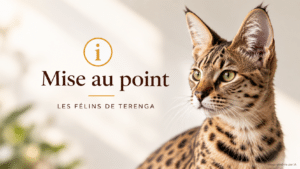 image IA illustration article mise au point